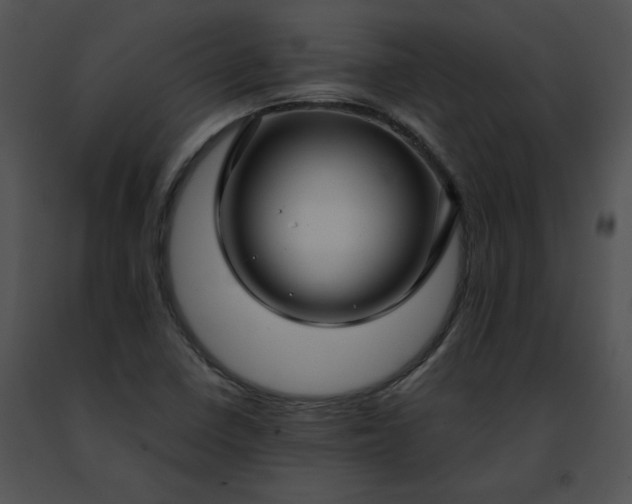 X0000091491410200708301926