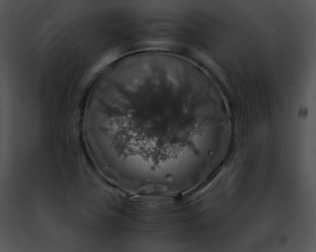 X0000091491411200708301926