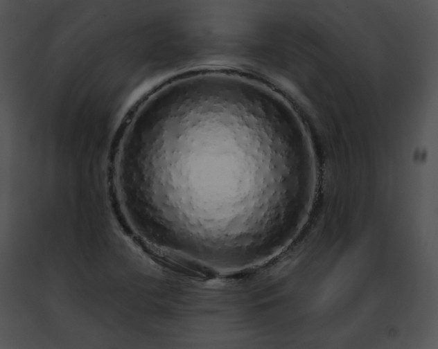 X0000091491412200708301926