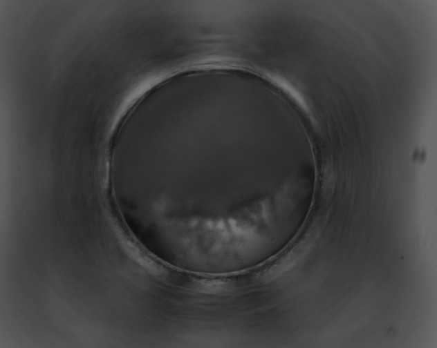 X0000091491413200708301926