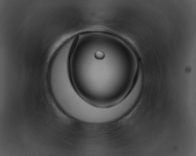 X0000091491414200708301926