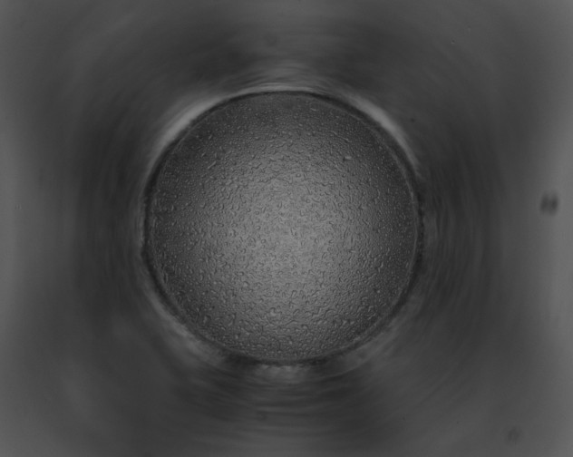 X0000091491415200708301926