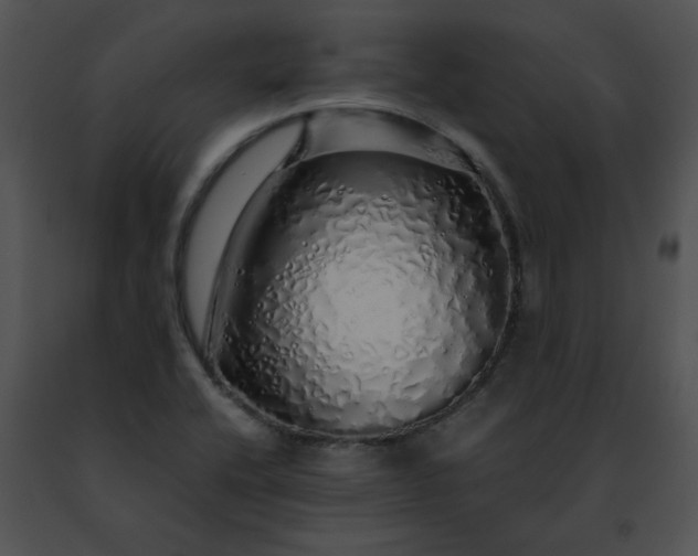 X0000091491416200708301926