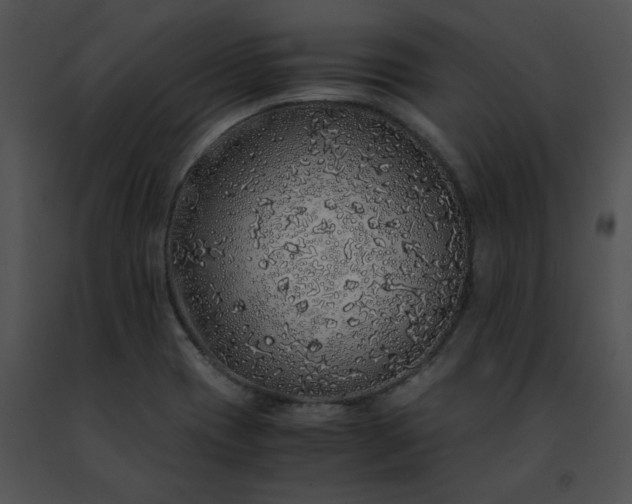 X0000091491417200708301926