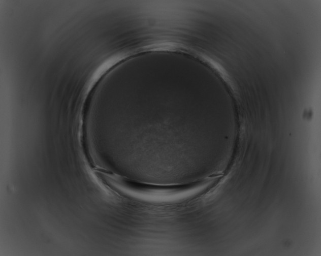 X0000091491418200708301926