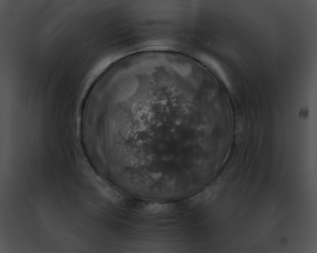 X0000091491419200708301926