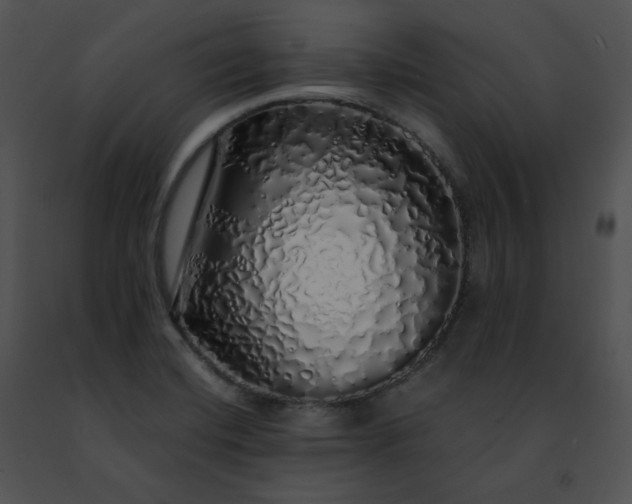 X0000091491420200708301926