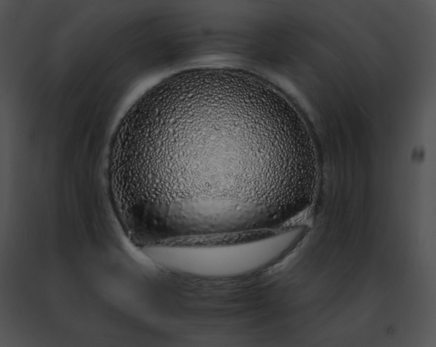 X0000091491421200708301926