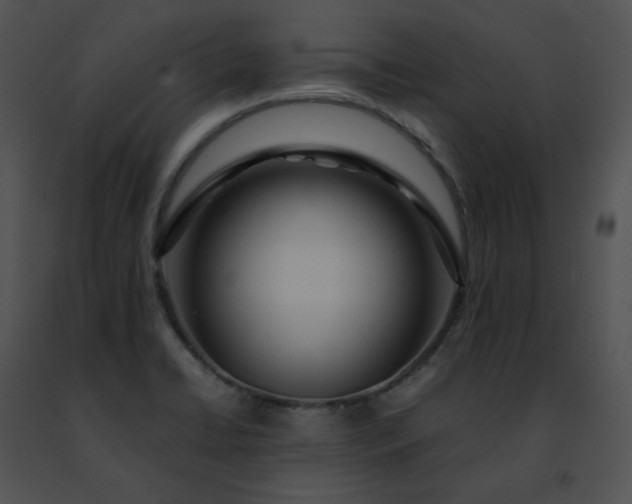 X0000091491422200708301926