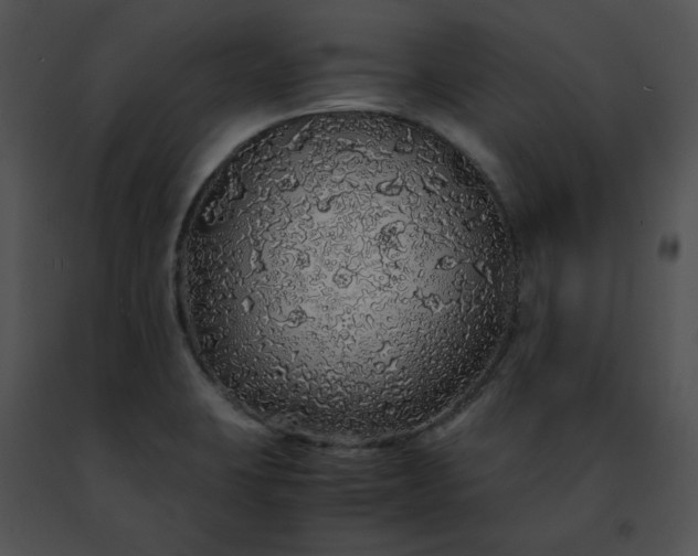 X0000091491423200708301926