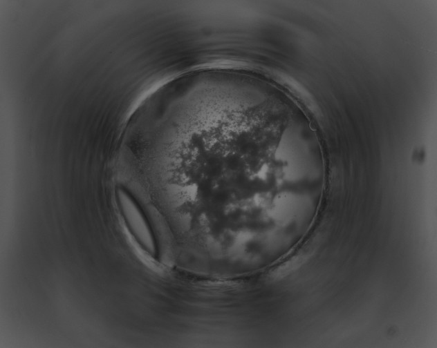 X0000091491425200708301926