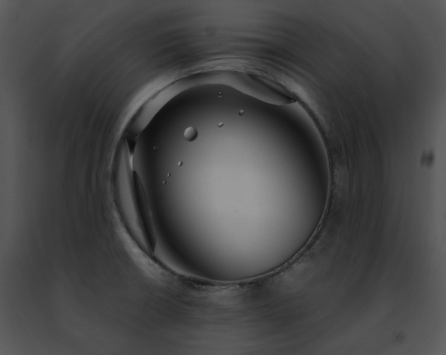 X0000091491426200708301926