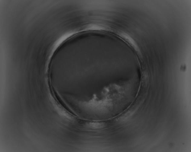 X0000091491427200708301926