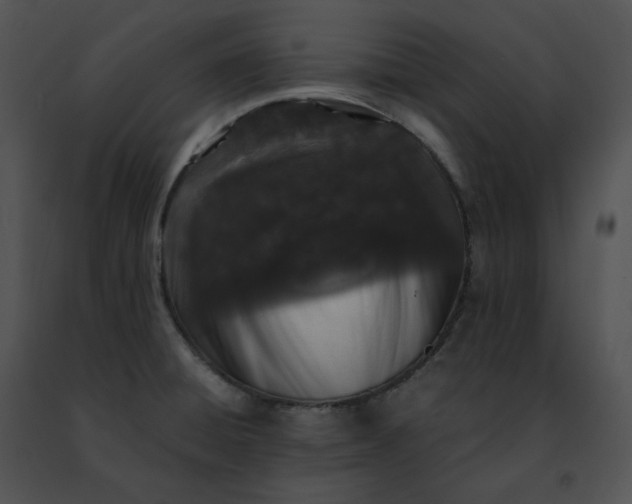 X0000091491428200708301926