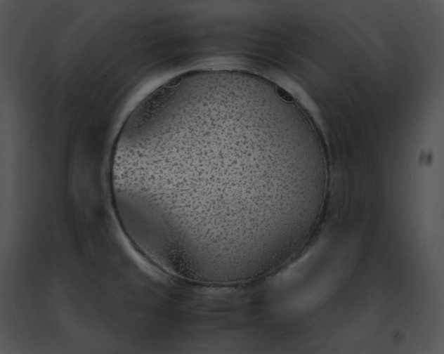 X0000091491429200708301926