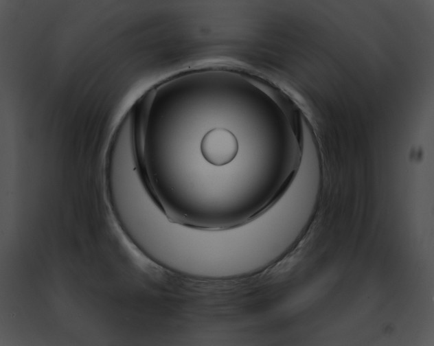 X0000091491430200708301926