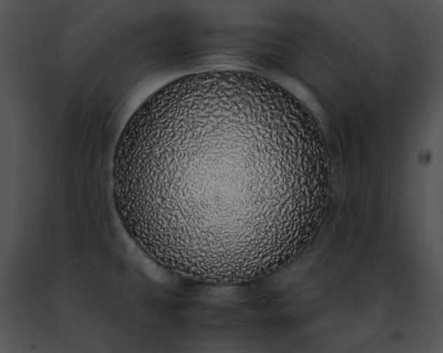 X0000091491431200708301926