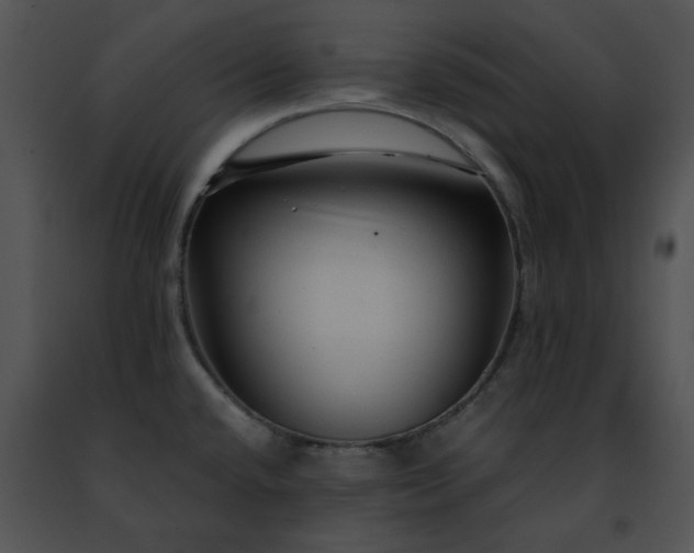 X0000091491432200708301926