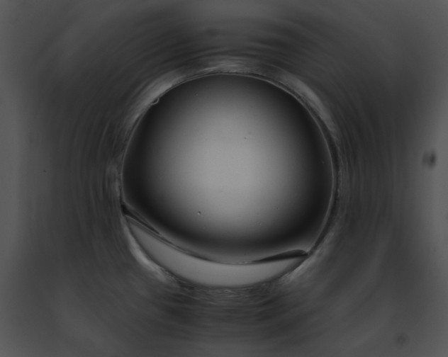 X0000091491433200708301926