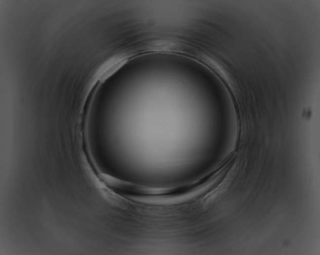 X0000091491434200708301926