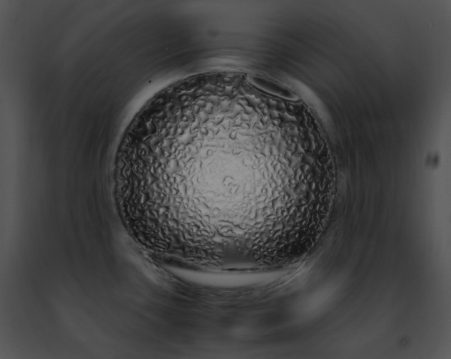 X0000091491435200708301926