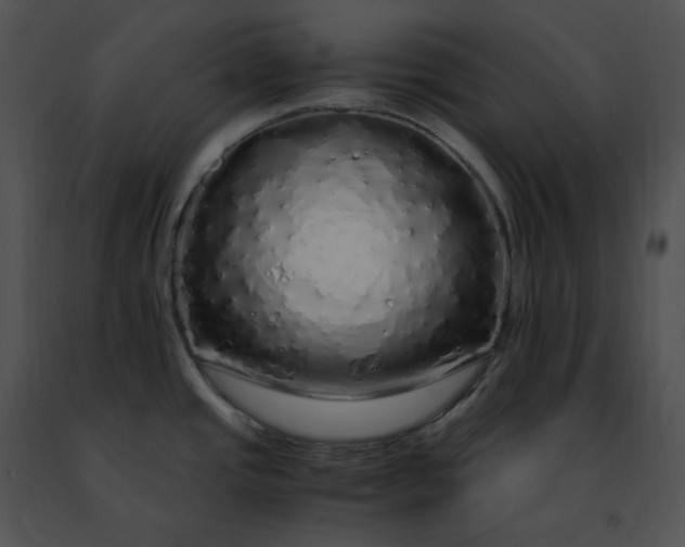 X0000091491437200708301926