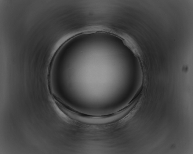 X0000091491438200708301926