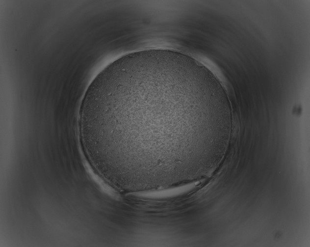 X0000091491439200708301926