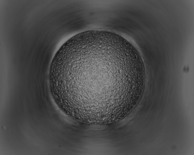 X0000091491440200708301926