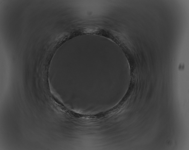 X0000091491441200708301926