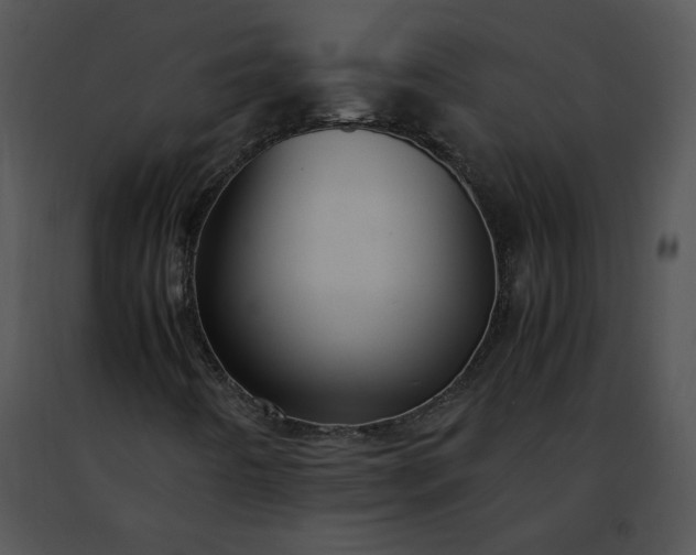 X0000091491442200708301926