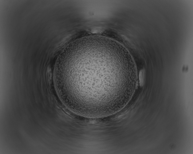 X0000091491443200708301926