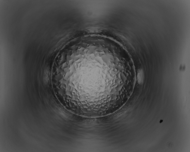 X0000091491444200708301926