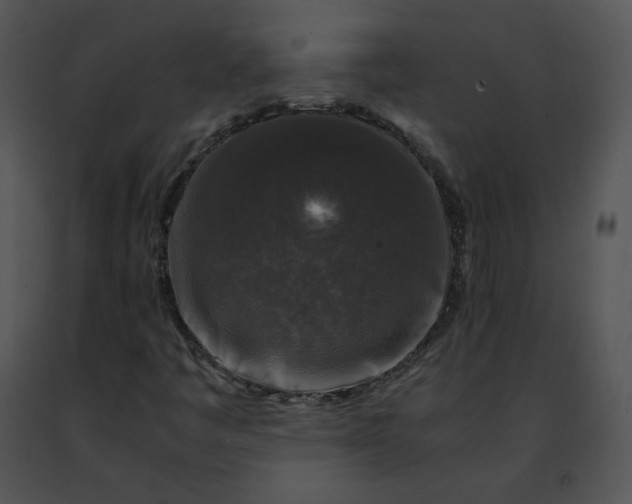 X0000091491445200708301926