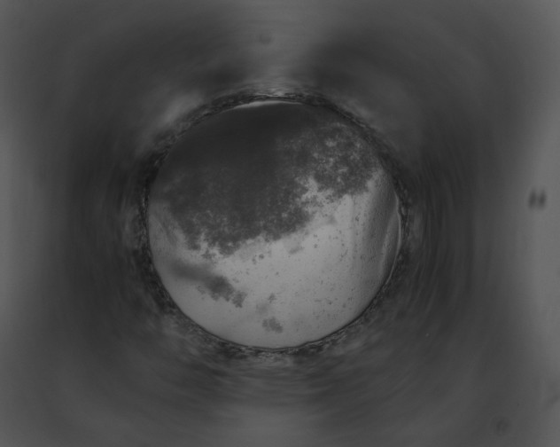 X0000091491446200708301926