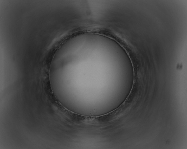 X0000091491447200708301926