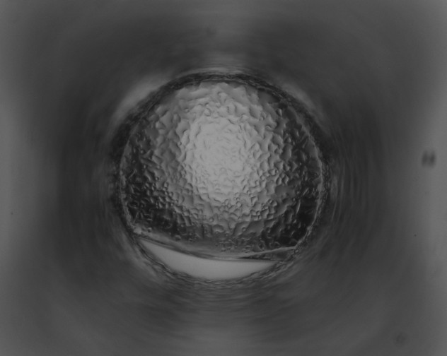 X0000091491448200708301926