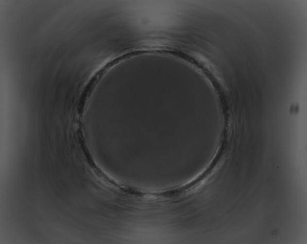 X0000091491449200708301926