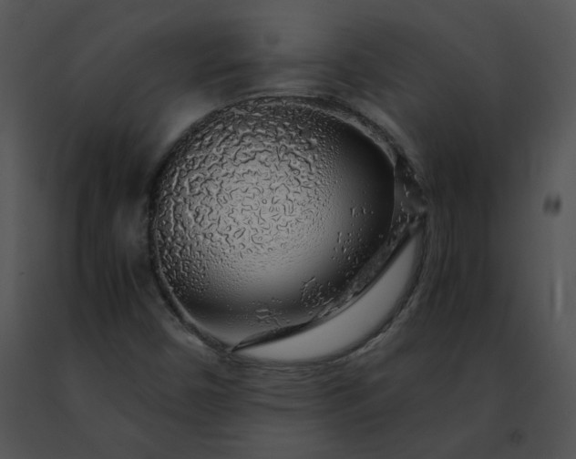 X0000091491450200708301926