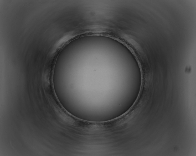 X0000091491451200708301926