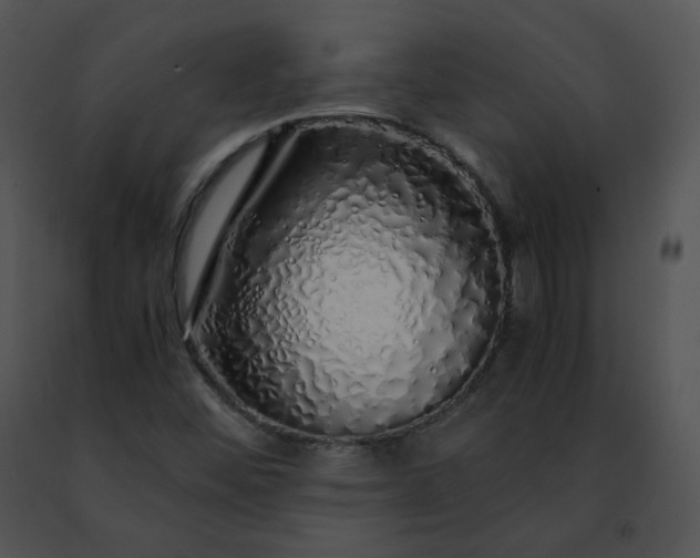 X0000091491452200708301926