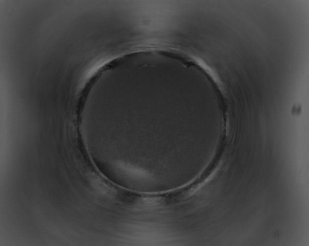 X0000091491453200708301926