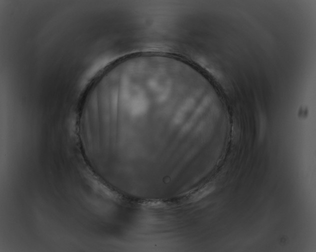 X0000091491454200708301926