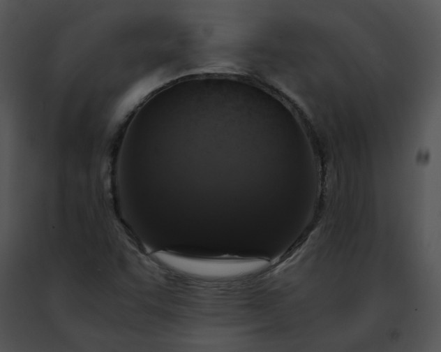 X0000091491455200708301926