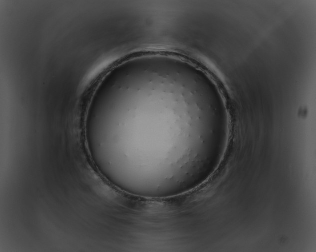 X0000091491456200708301926