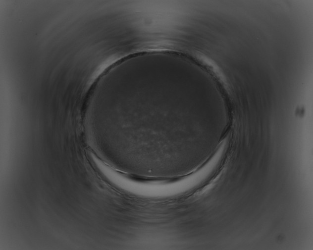 X0000091491457200708301926