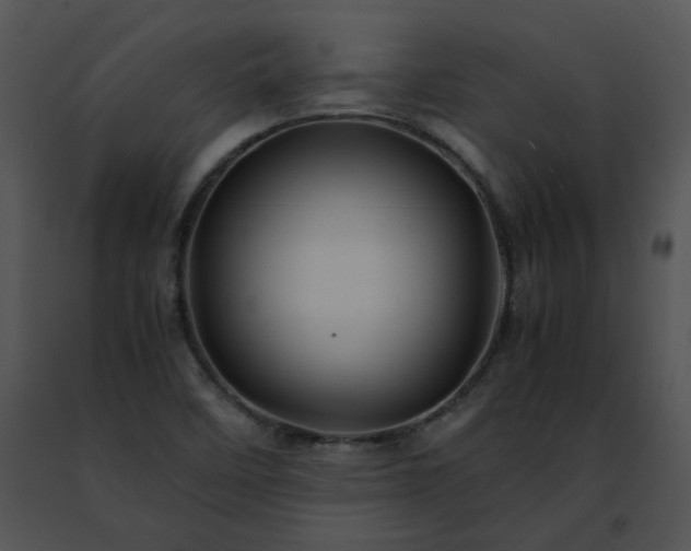 X0000091491458200708301926