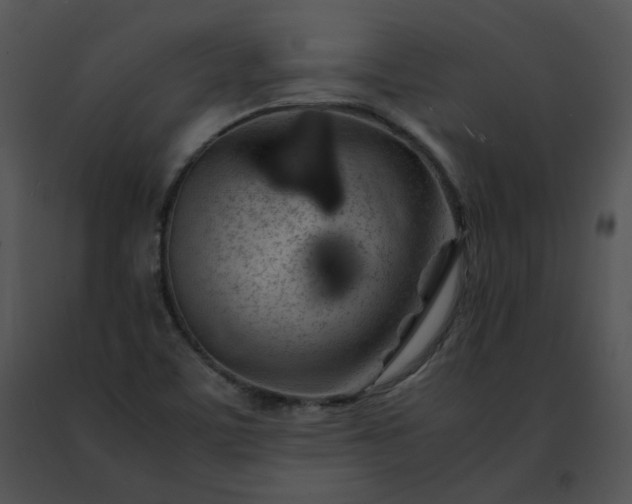 X0000091491459200708301926