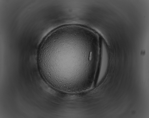 X0000091491460200708301926