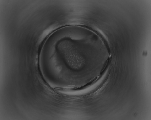 X0000091491461200708301926